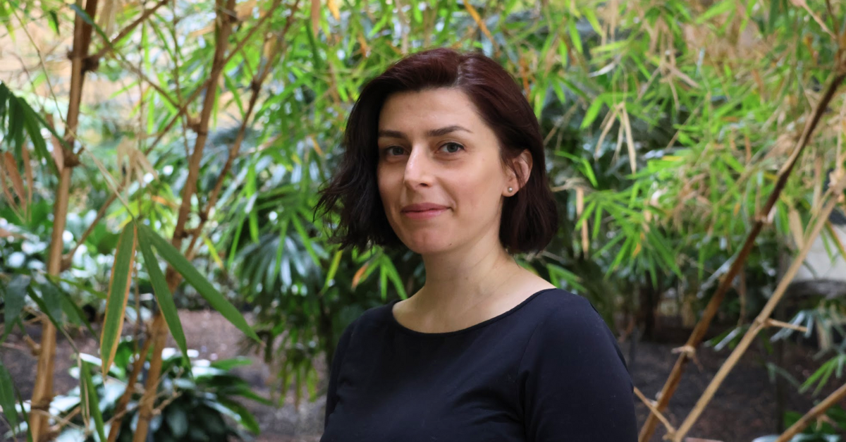 Natalija Vojno, VMS Mentor